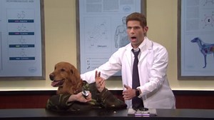 Saturday Night Live on Instagram: "​​Introducing: Dog Head Man"