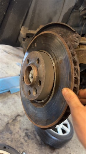 Understanding Squeaky Sounds: Fun Facts About Pets