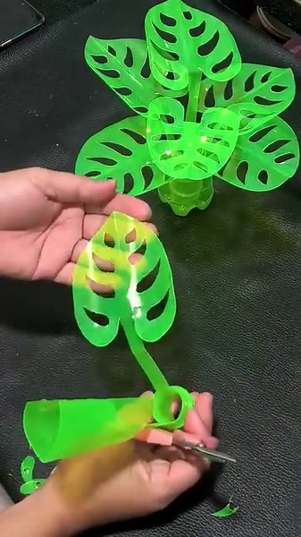 200K views · 7.5K reactions | monstera plant using pet bottles plastic bottle craft best out of waste reuse reduce recycle@followers | Plastic Bottle and Paper Artwork.best for Display | Facebook