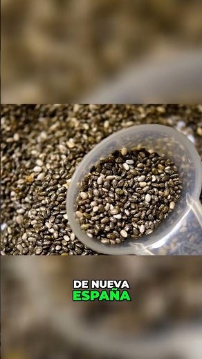 Descubriendo la Semilla de Chía Origen, Cultivo y Usos