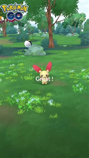 【ポケモンGO】プラスルGETだぜ！ #ポケモン #game #ポケモンgo #pokemon #pokemongo #shorts #shortvideo #shortsclip #ゲーム