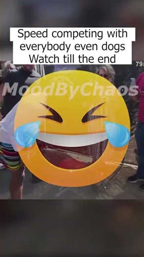 The Dog Lost The Barking Battle To Speed