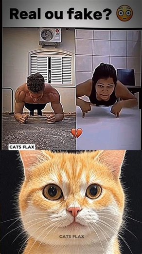 online practice gone wrong 🤣💀 #cat #cat #catvideos