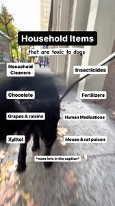 Do your dogs have easy access to any of these items? March is National #PetPoisonPreventionMonth. It’s a good time to brush up on what items you may have lying around your home that could be harmful to your pets. Make sure: ✅ Over the counter medications, and cleaners are stashed away in a safe place ✅ Insecticides, pesticides and rat poison aren’t used in areas your pets frequent ✅ Sugar-free gums and peanut butter containing the sweetener, Xylitol, aren’t accessible to your pets And in case of