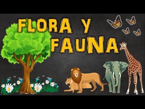 Flora and Fauna | Definition and Examples