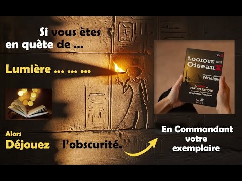 La logique des oiseaux - démo 005