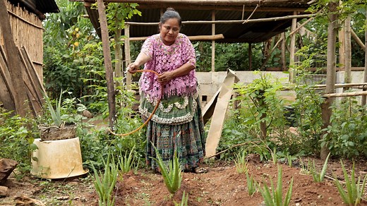 Transforming conservation: towards community-led nature governance