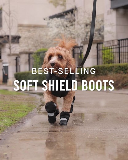 2.5K reactions · 491 shares | These dog boots: Easy to put on and actually stay on  Protect your pup's paws from snow, salt, and mud! | Canada Pooch | Facebook