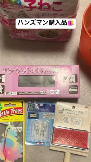 購入品紹介 #ハンズマン #ねこのいる生活