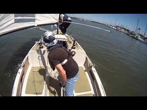 Whisker Pole, setting the jib.