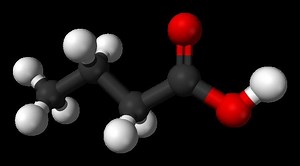 Butyric acid - Alchetron, The Free Social Encyclopedia