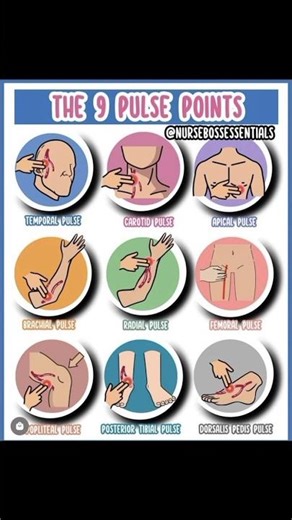 9 Pulse Points You Should Know! 🙄