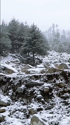 The First Snowfall ❄️ | A Cinematic Winter Reel