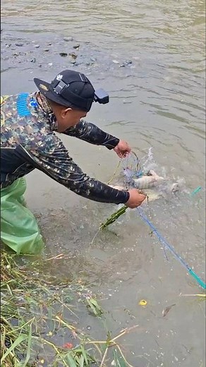 LONG NET techniques full of FISH🐟🐠🐟🫧#asmr #fishing