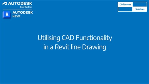 Utilising CAD functionality in a Revit line drawing
