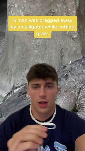 Terrifying Attack: Man Dragged Away by Alligator in Myrtle Beach