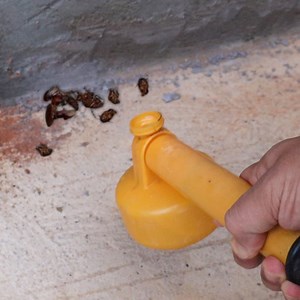 1.1M views · 9.8K reactions | El veneno más fuerte para acabar con las cucarachas que existe, ¡esto es increíble! | Dia de Receitas Espanã | Facebook