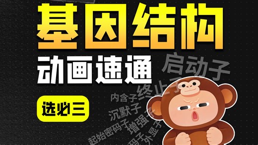 【生物选必三】基因结构动画速通