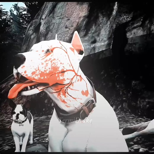 @𝐀𝐫𝐭𝐡𝐨𝐱𝐌𝐚𝐫𝐜𝐮𝐬🌪️ betası ile edit vs/#edit #kesfet #pitbull #terminator #kesfett