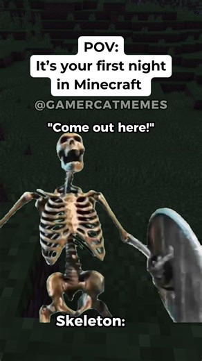 POV: It's your first night in Minecraft #catmemes #funny #minecraft