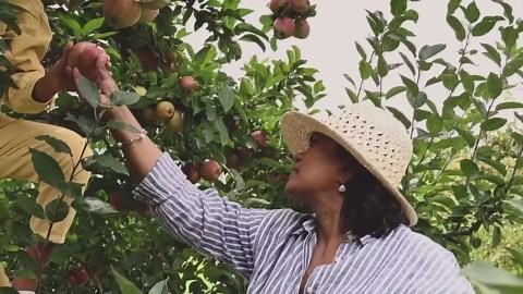 Garden Netting, 15ft x 30ft Black Bird Netting Heavy Duty,Rabbit,Large Bees,Squirrels, Deer,Chicken, Anti Birds, Cardinals，Animal Fencing for Fruit Tree & Vegetable Garden