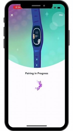 How to Set Up MagicBand+