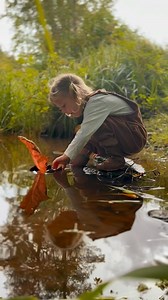 15K views · 1K reactions | One of Arthur and Sybbie’s 戮 favourite nature activities is making bark boats and floating them on the stream near our house. It’s especially lovely at this time of year as the leaves turn, making beautifully autumnal sails! ⛵️ #nature #naturelovers #barkboats #sailing #outdoors #foraging | The Grizzly Forager | Facebook