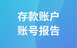存款账户账号报告功能