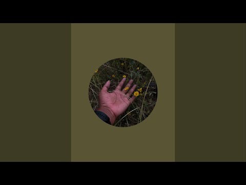 Water melon exploding challenge live 😳