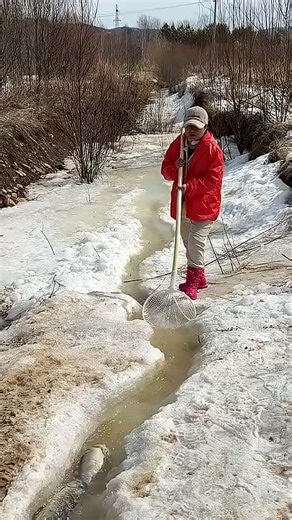 Innovative BalliBot: The Smart Robot Making Waves