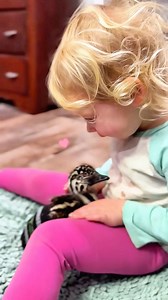 11M views · 10K reactions | This farmer found a strange egg in his chicken coop #emu #animals #animalsofinstagram #loveanimals #animallover #animalove #animalworld #animalplanet #rescue #rescueanimals #fyp | AnimalLove Stories | Facebook