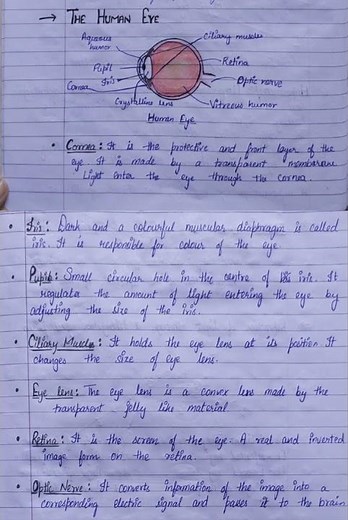 Notes of Human eye class 10