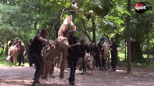 Life-size animal puppets set off to travel 20,000 kilometers