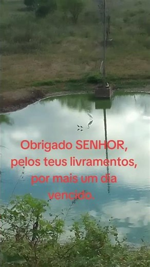 Boa noite Deus,obrigado por tudo.