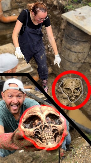 1.5M views · 7.9K reactions | Wife finds alien head  | Neil Henry | Facebook