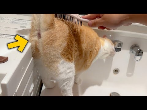 Robin farts when he's happy!