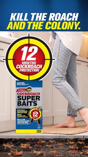 荒 Spring & Summer = Cockroach Season! Don’t let these creepy crawlies...