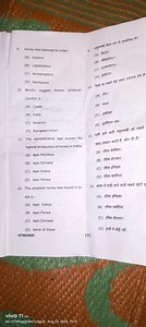 Honey bee belongs to order - (A) Diptera (B) Lepidoptera (C)... | Filo