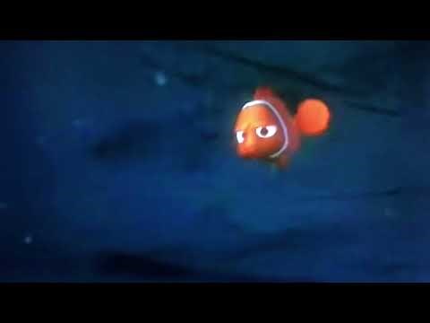 Finding Nemo 2003💥GET BACK HERE! NOW!😡🏫🔺AAAAH!😫💥🌋💥Don’t Touch!🏫Walt Disney🏫