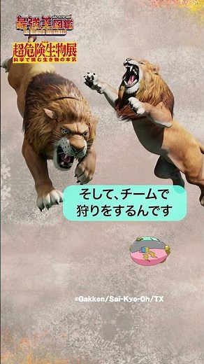 特別展「超危険生物展 科学で挑む生き物の本気」とアニメ『最強王図鑑 ～The Ultimate Tournament～』のタイアップが実現！