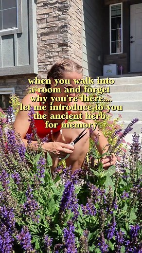 Did you know sage has long been called a “memory herb"? Studies show it may support focus, clarity, and even long-term brain health. It has antimicrobial, anti-inflammatory and digestive benefits as well, but is most highly prized for its ability to improve brain health. Woodland sage (Salvia nemorosa) isn’t the same as common kitchen sage (Salvia officinalis)— what you see in my video is woodland sage. Most often used ornamentally, and not well studied like kitchen sage, but does have similar c