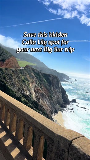 Visit the Stunning Calla Lily Valley in Big Sur!