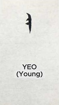 한글 'ㅕ' 예쁘게 쓰는 비법 | How to write Korean Vowel 'Yeo' | #Hangul #Calliverse