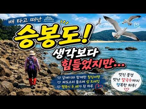 승봉도트레킹/ 배타고 떠난 섬여행,생각보다힘들었지만.../ 천국같은아름다운섬/ 당일 섬여행지 추천/