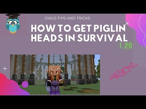 How to get Piglin Heads in Survival 1.20 / Minecraft / Bedrock