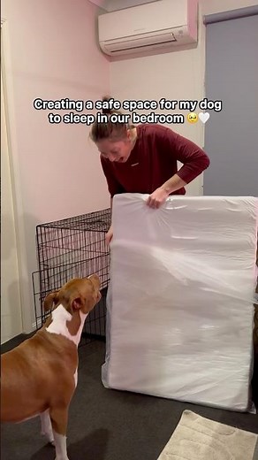 My Dog's New Crate & Bed Setup in Our Bedroom