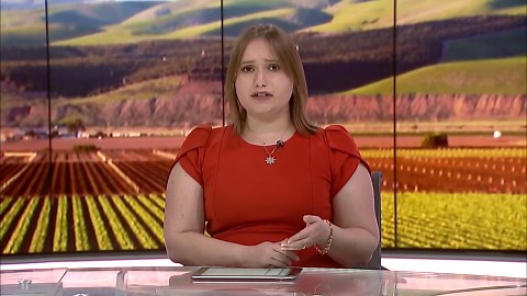 Illinois farm organizations lobby for estate tax relief