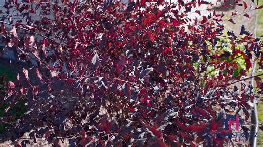 📍 914 Vogt Lane, Chilton, WI 53014 💰 Offered at $249,900 🔗https://tinyurl.com/914-vogt-ln 🛏 2 Bedrooms | 🛁 2.5 Bathrooms | 📐 1,727 Sq Ft Welcome home to this beautifully designed, move-in ready condo offering comfort, style, and space in the heart of Chilton! You'll love the soaring ceilings, gas fireplace, and fully applianced eat-in kitchen with maple cabinets and a breakfast bar. The private patio, finished lower level (perfect for a rec room, office, or gym), and attached garage with b