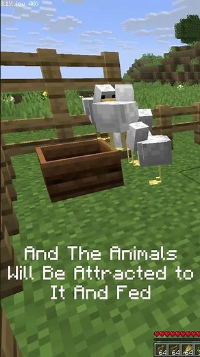 Animal Feeding Trough - Mod Review
