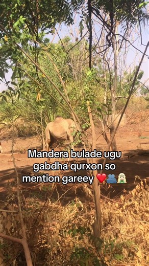 Mandera's Beautiful Women: A Tribute